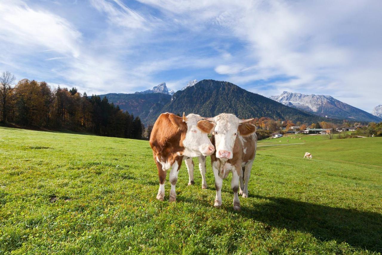 Gaestehaus Untersulzberglehen Farm stay